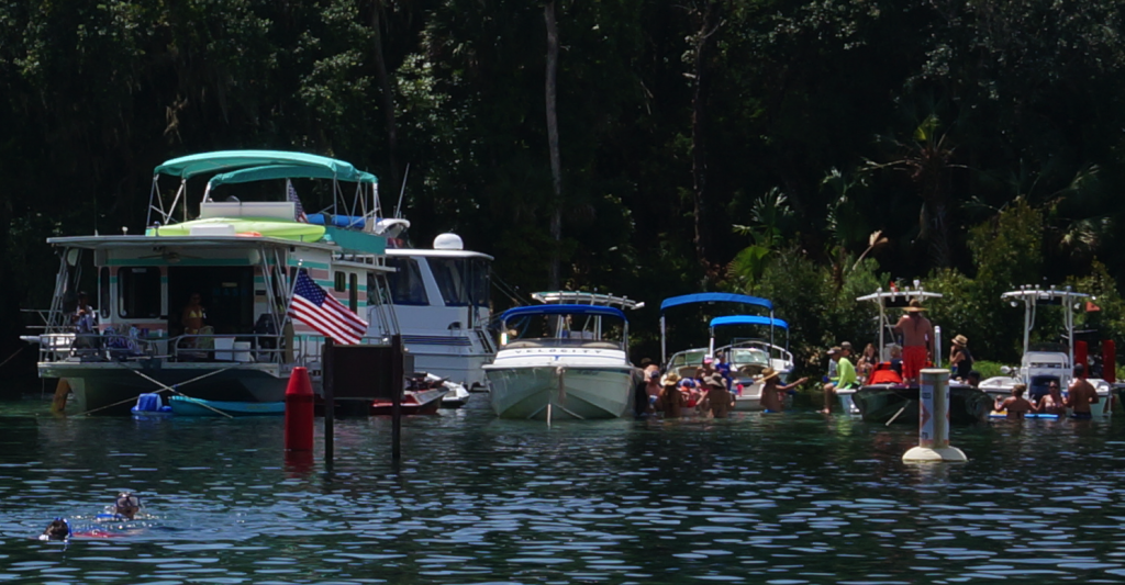 boats